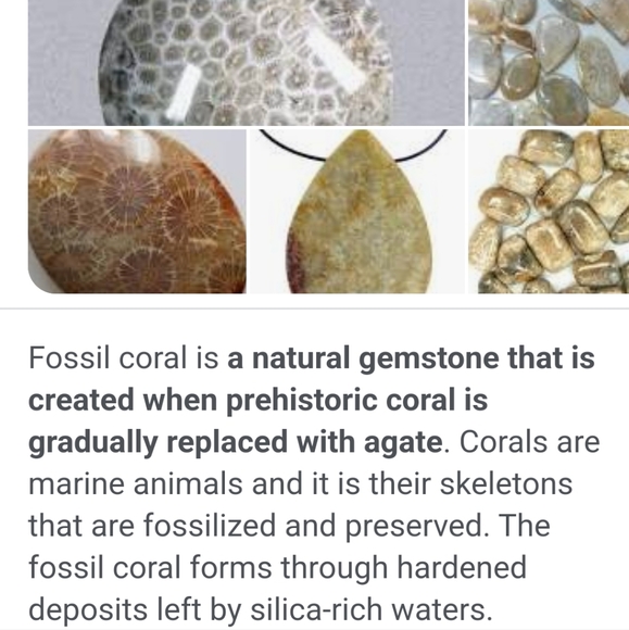 Fossil coral silver gemstone necklace - Picture 10 of 10